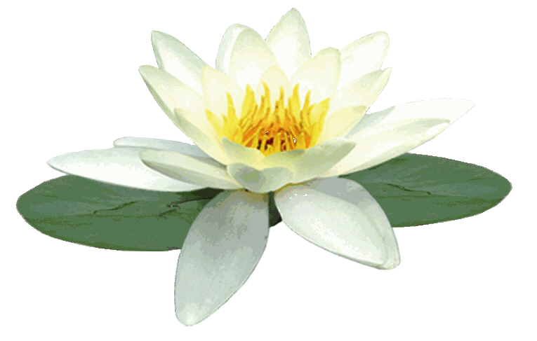 Reiki 1 leren bij Helios Centrum